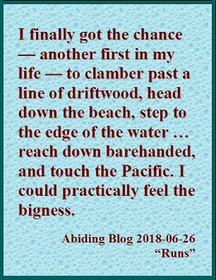 I finally got the chance -- another first in my life -- to clamber past a line of driftwood, head down the beach, step to the edge of the water ... reach down barehanded, and touch the Pacific. I could practically feel the bigness. #ThePacific #FeelTheBigness #AbidingBlog2018Runs